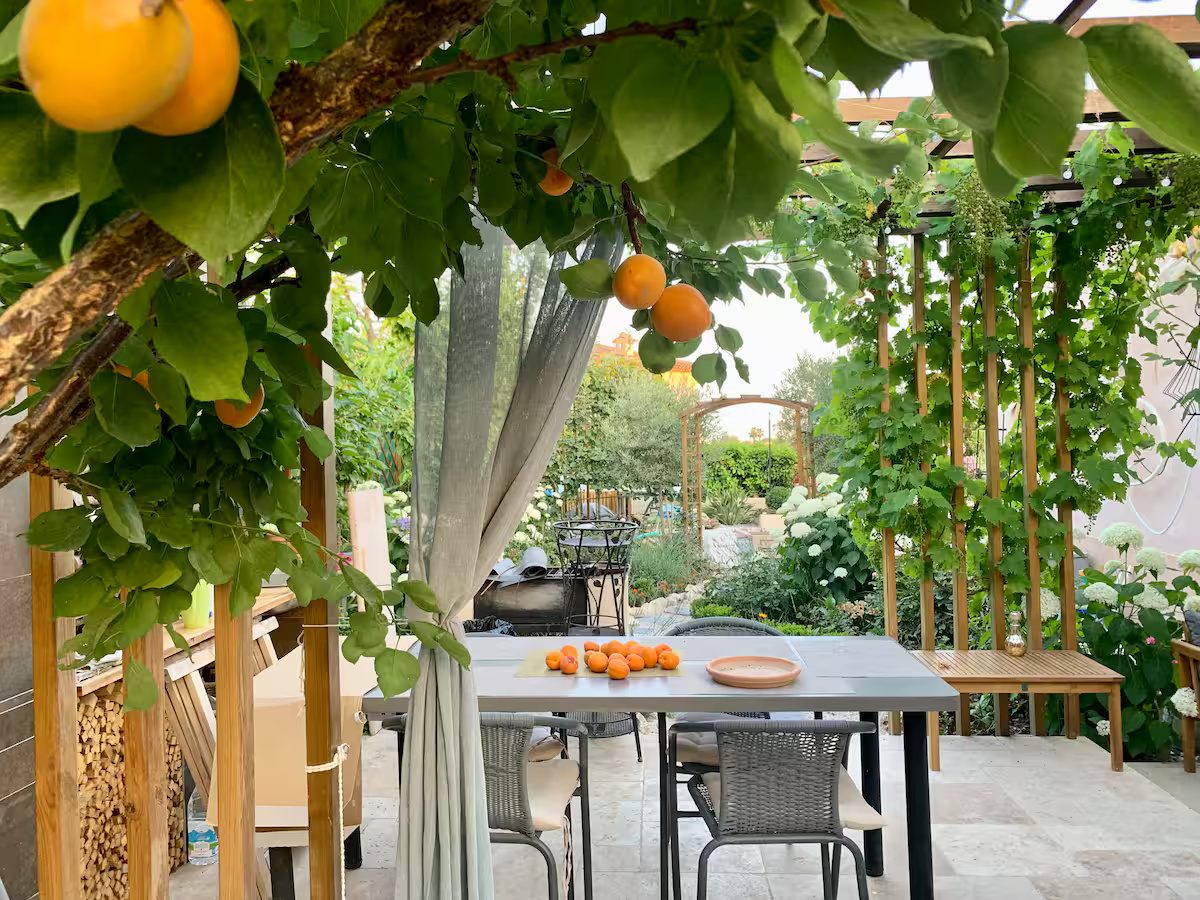 Villa Augflor private pool and garden, Cagnes-sur-Mer