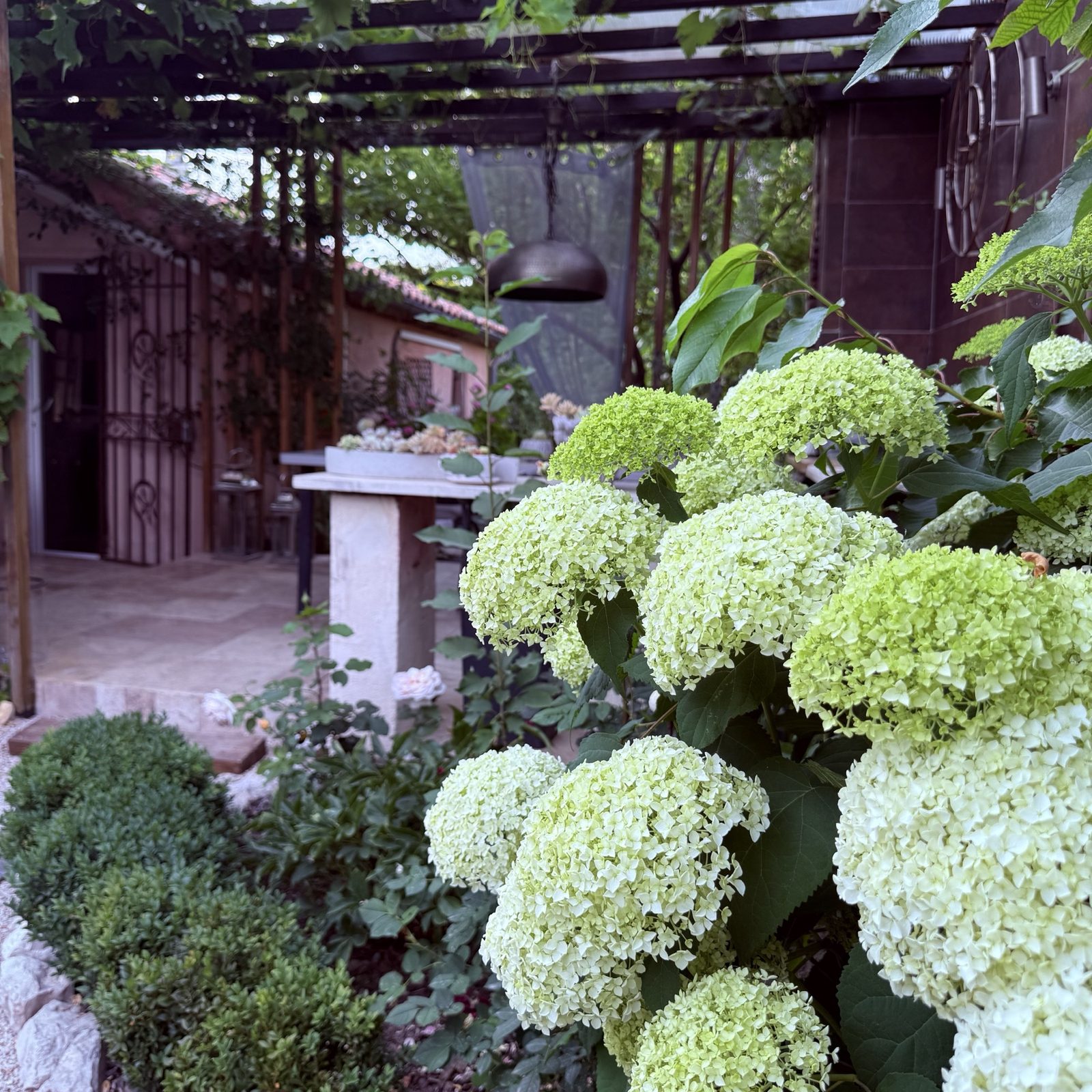 Villa Augflor private pool and garden, Cagnes-sur-Mer